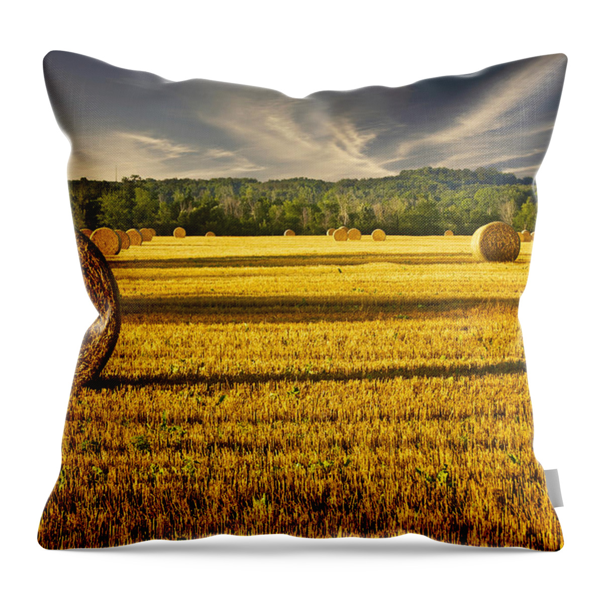Agriculture Throw Pillow featuring the photograph Wisconsin Summer by Jarrod Erbe