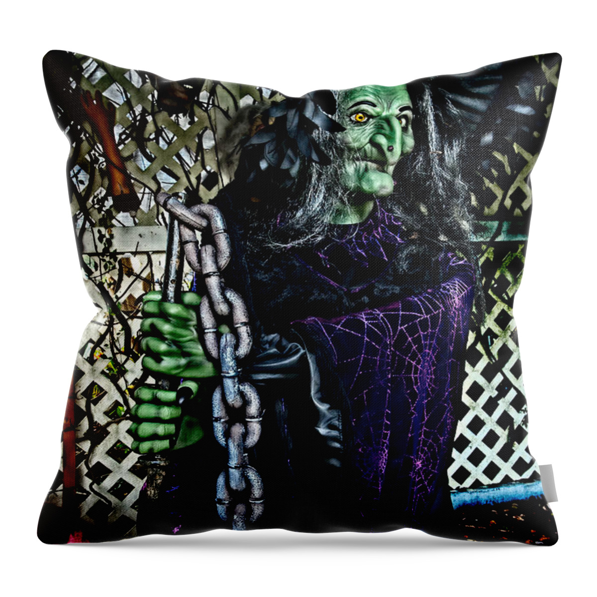 Halloween Throw Pillow featuring the photograph Witchy by Christopher Holmes
