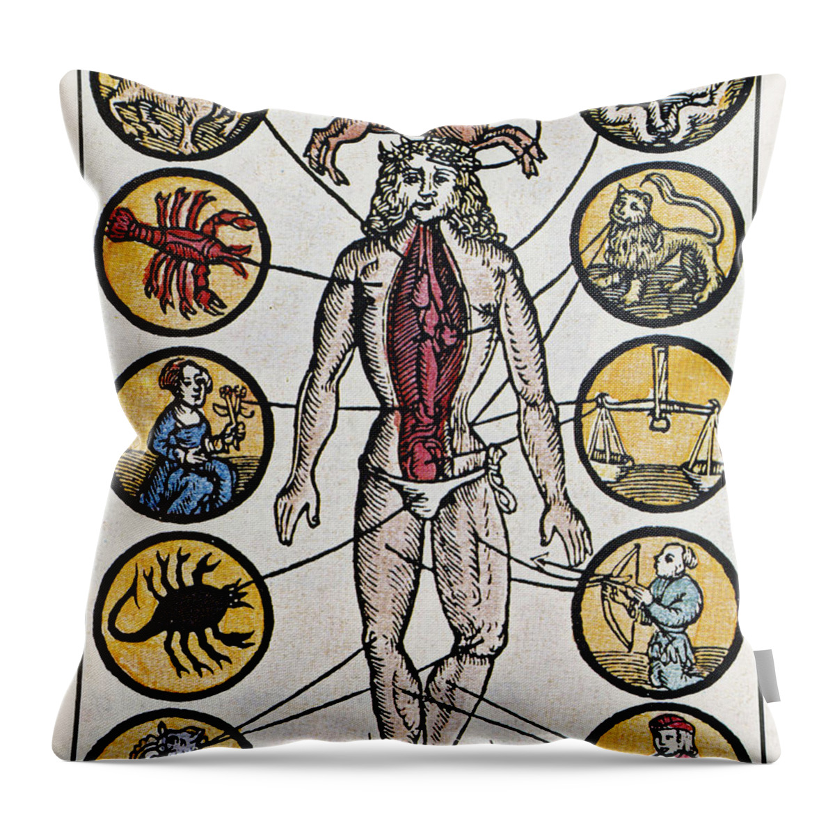 Zodiac Throw Pillow featuring the photograph Woodcut With Medical Zodiac by Science Source
