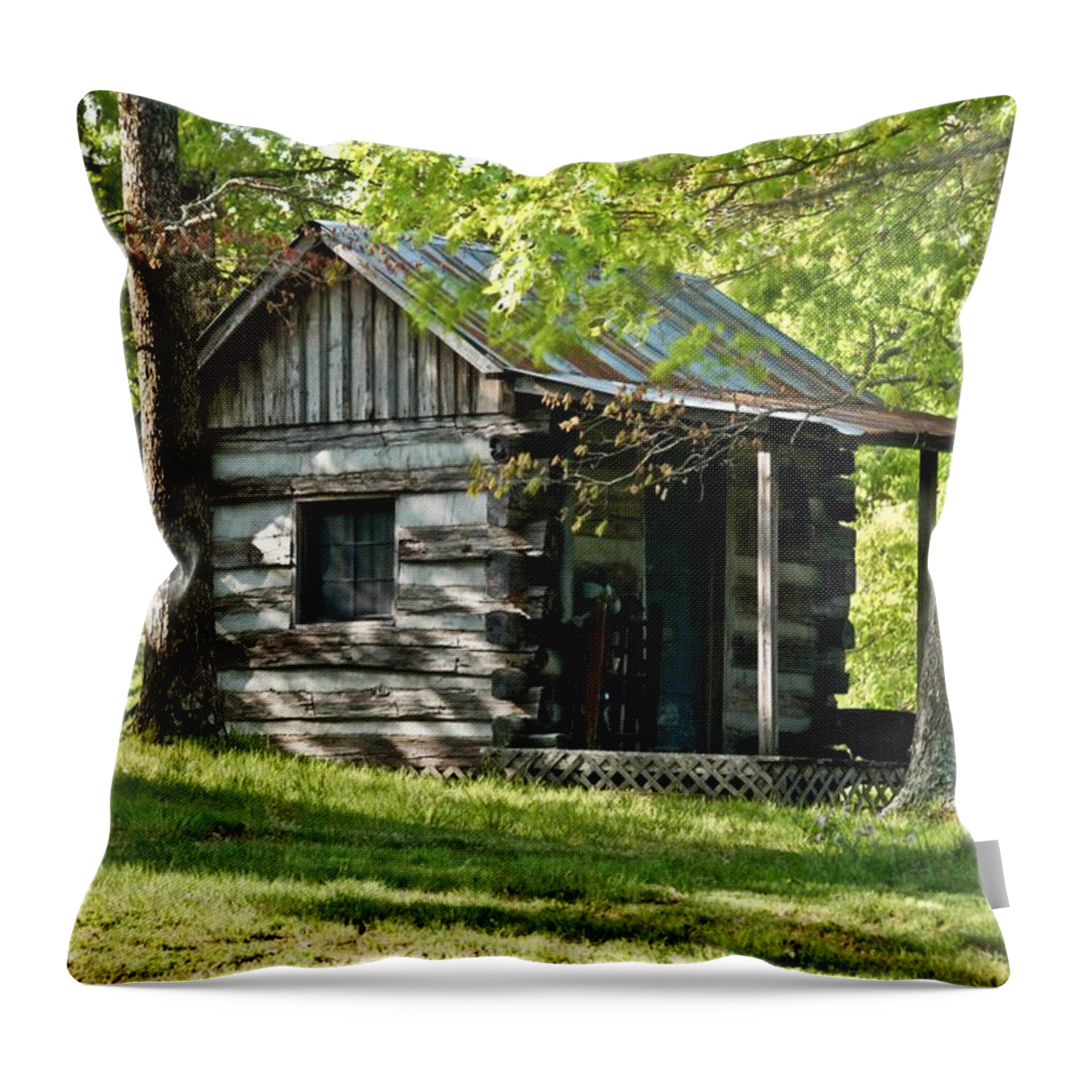 Woodland Throw Pillow featuring the photograph Woodland Cabin 2 by Douglas Barnett