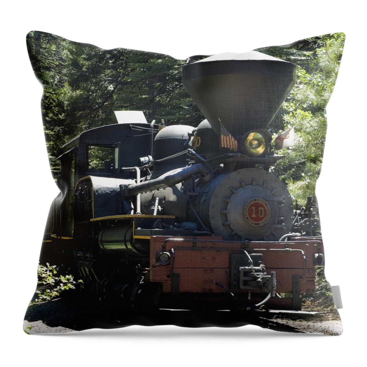 Shay Throw Pillow featuring the photograph WSLC Shay at Yosemite by Tim Mulina