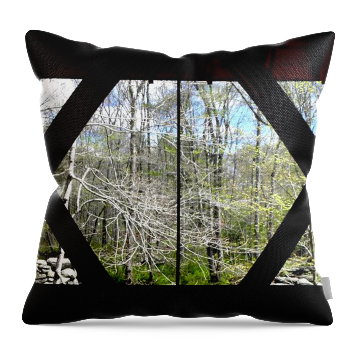 Double X Marks Throw Pillow featuring the photograph X X marks the spot by Kim Galluzzo