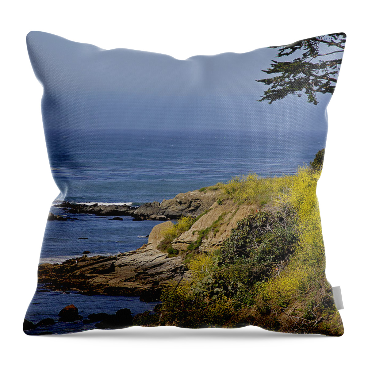 Central Coast Throw Pillow featuring the photograph Yellow Flowers on the Central California Coast by Mick Anderson