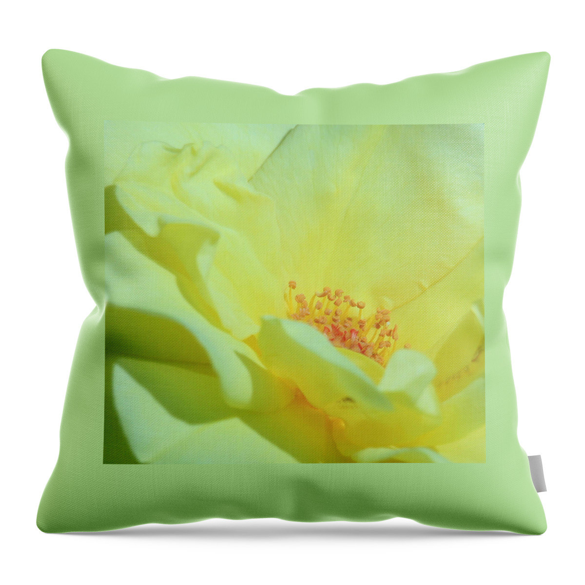 Floral Throw Pillow featuring the photograph Yellow Rose by Donna Corless