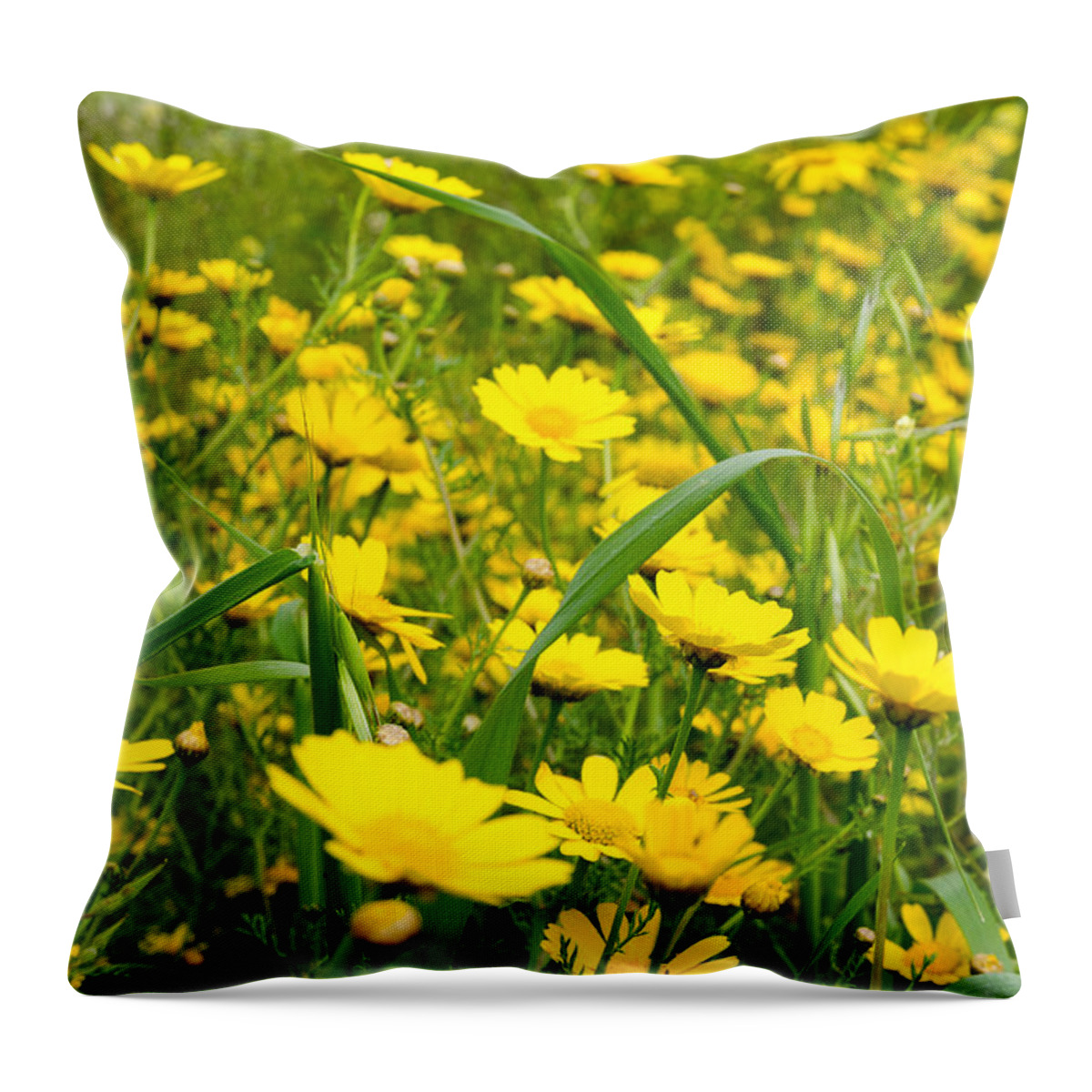 Background Throw Pillow featuring the photograph Yellow wildflowers by Michael Goyberg