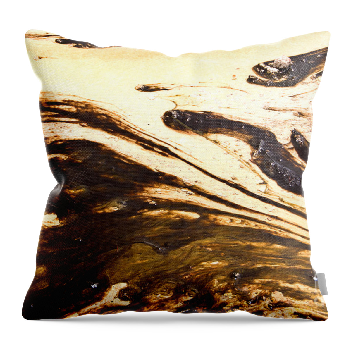 Algae Throw Pillow featuring the photograph Yellowstone Abstract 2 by Bob and Nancy Kendrick