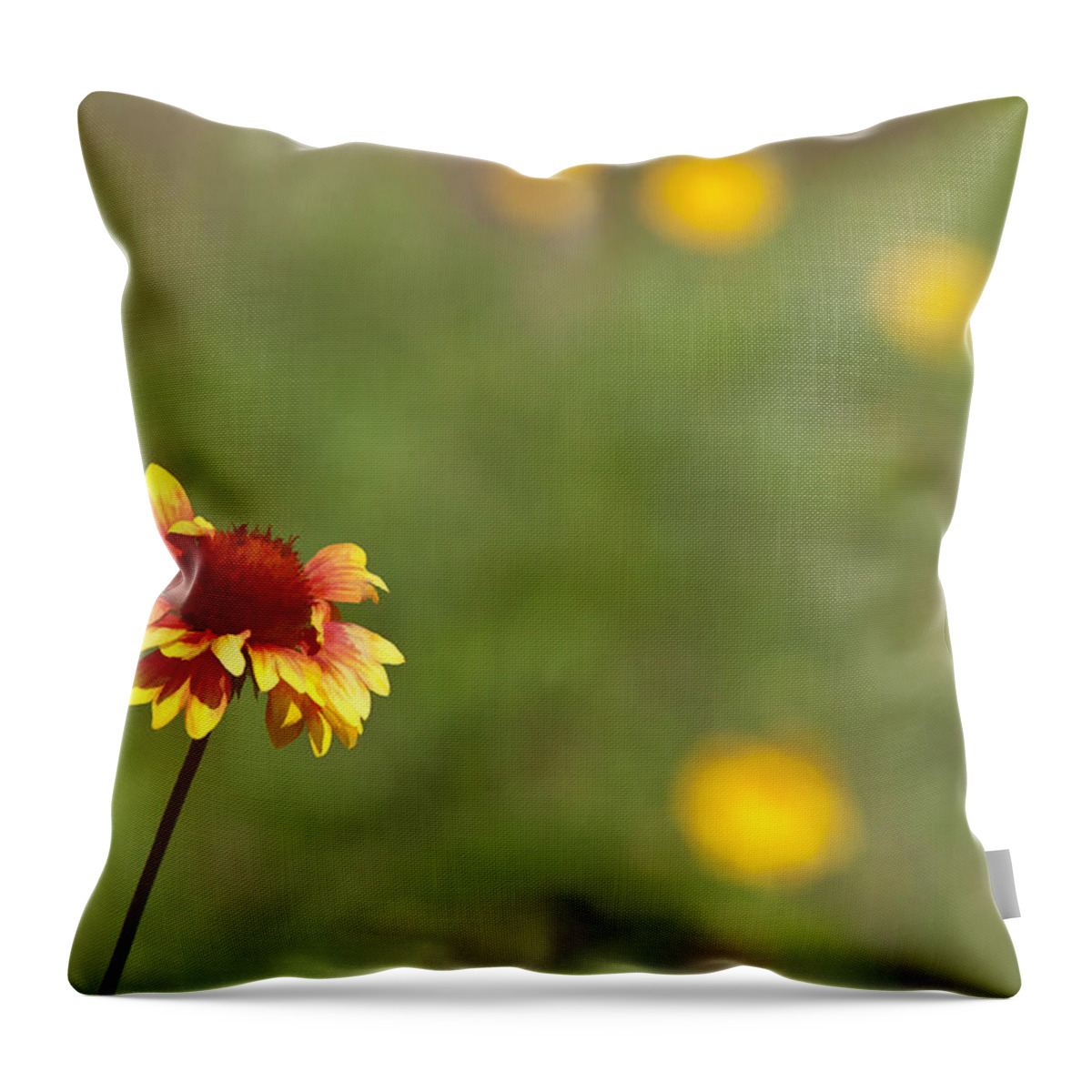 Flower Throw Pillow featuring the photograph Yep...a Flower by John Crothers