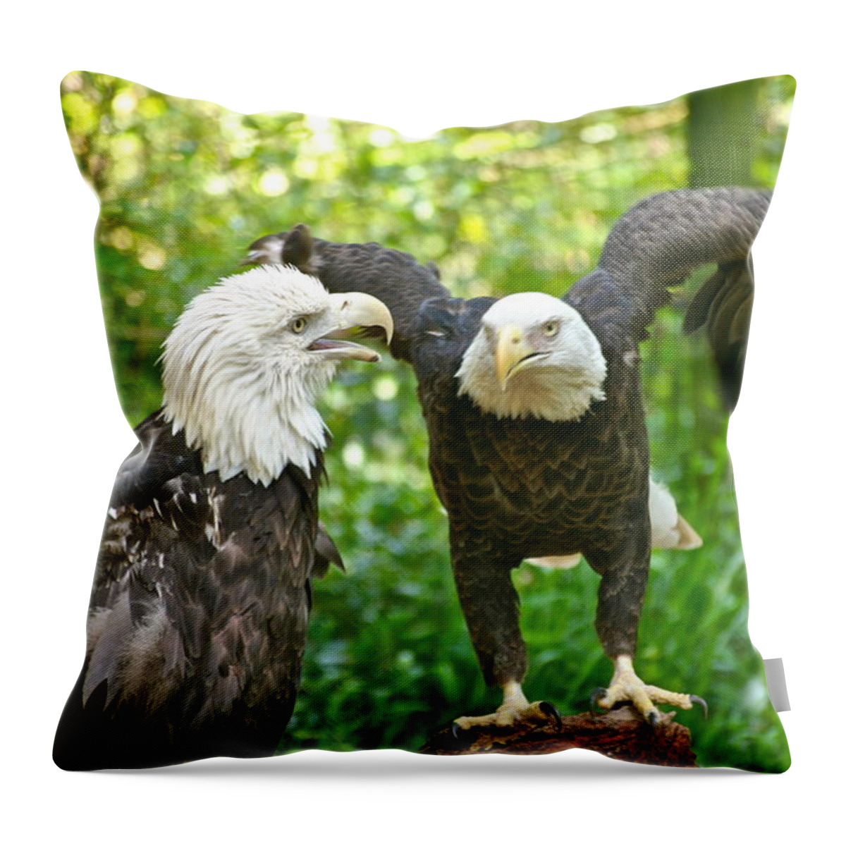 Eagle Throw Pillow featuring the photograph You Said What by Eve Spring