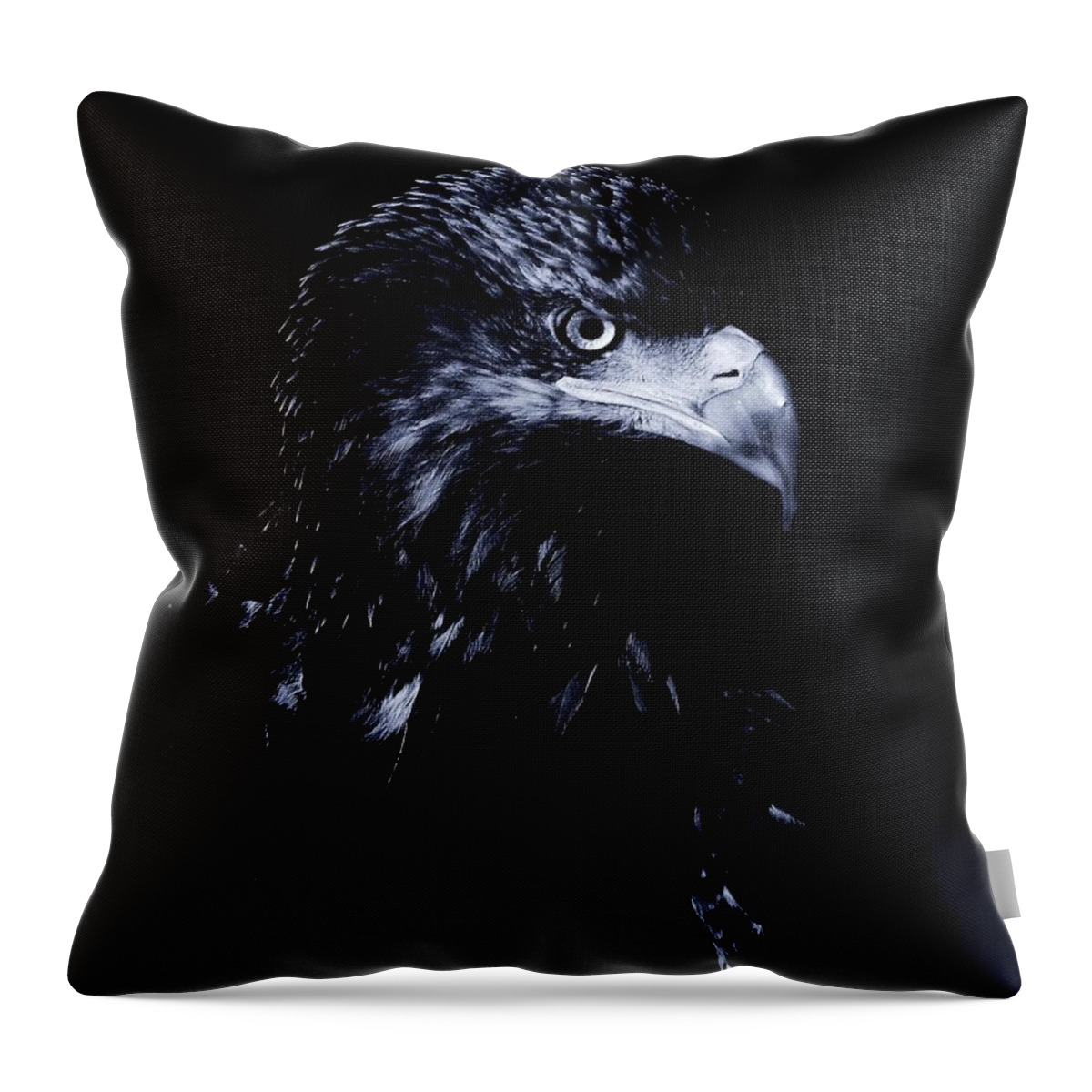 Eagle Throw Pillow featuring the photograph Young Eagle by Sandra Sigfusson