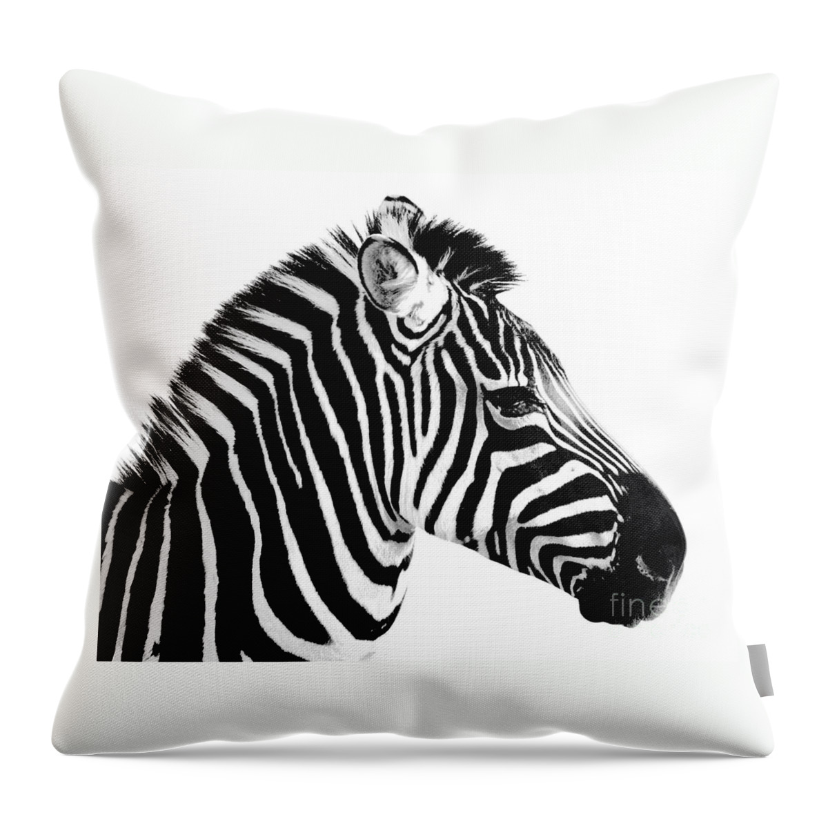 Zebra Throw Pillow featuring the photograph Zebra by Rebecca Margraf