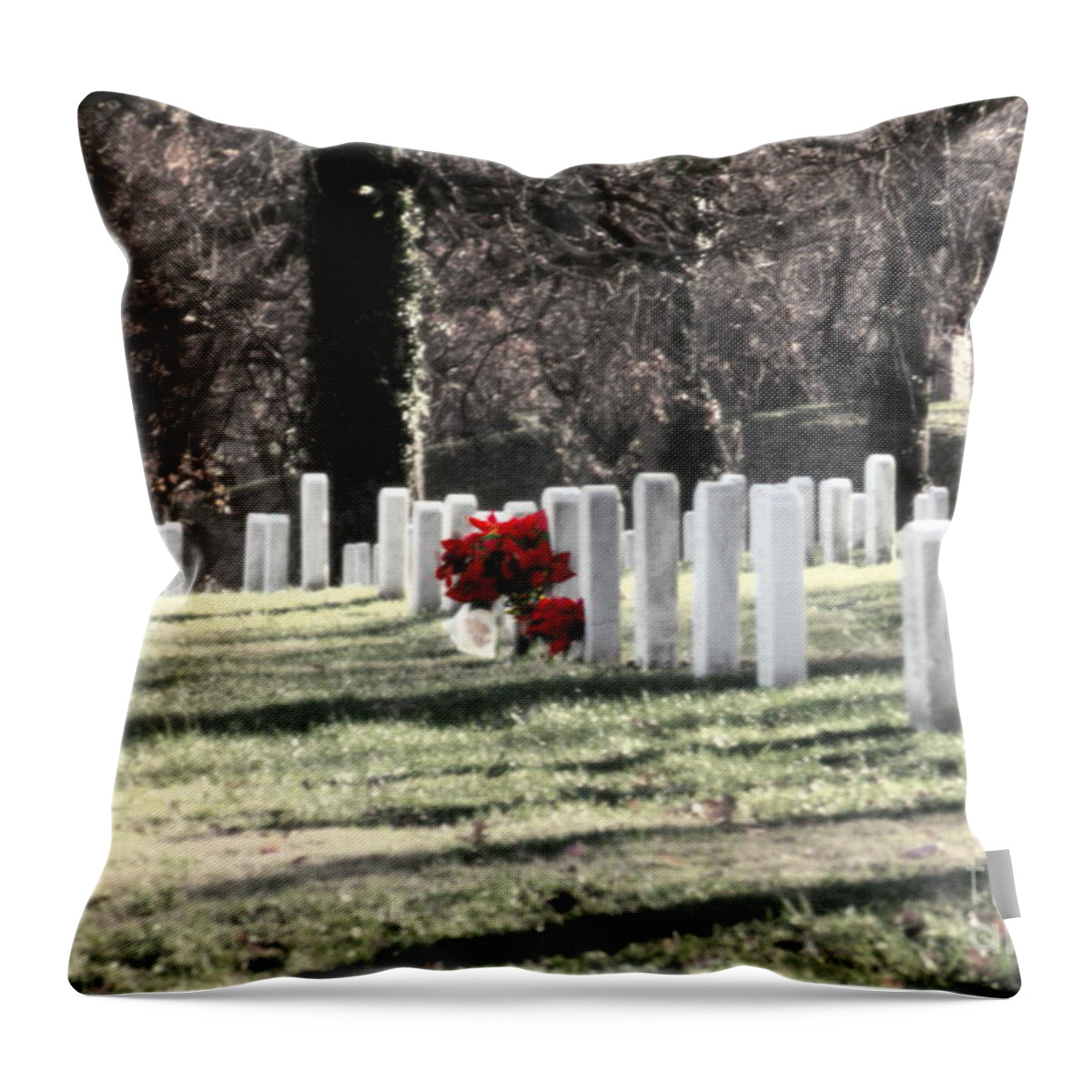 Clay Throw Pillow featuring the photograph Arlington Cemetary by Clayton Bruster
