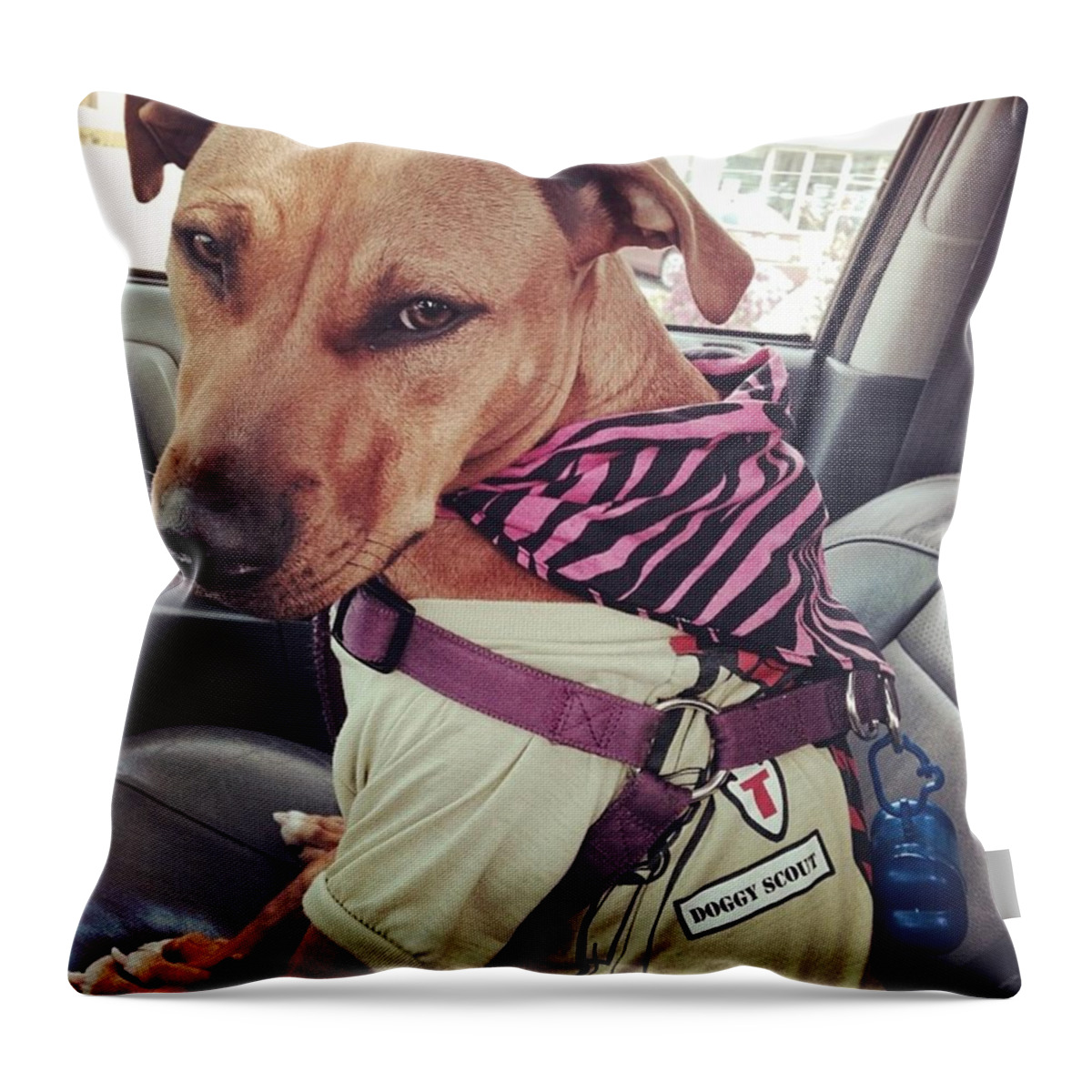 Dog Throw Pillow featuring the photograph Drive women by Ariel Broly