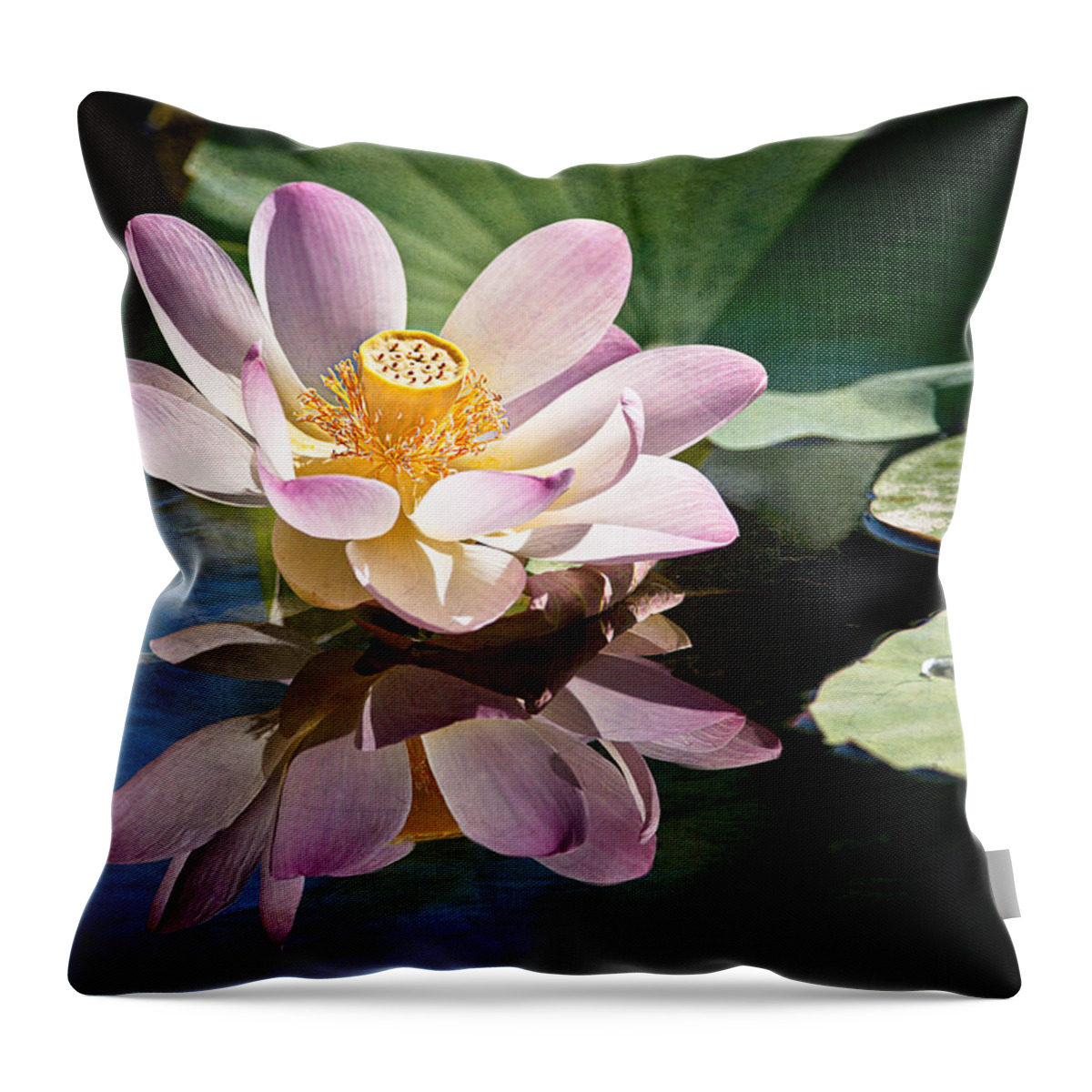 Lotus Throw Pillow featuring the photograph Casting A Beautiful Reflection by Jeff Abrahamson