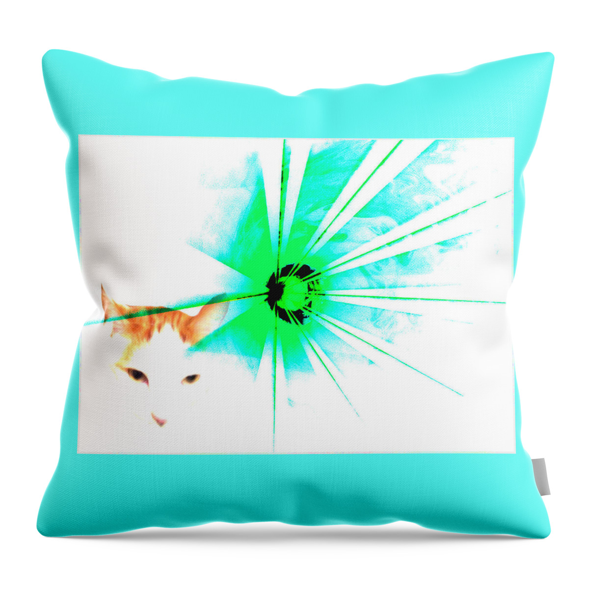  From Journey Through The Burning Throw Pillow featuring the photograph Cats Secret by The Lovelock experience