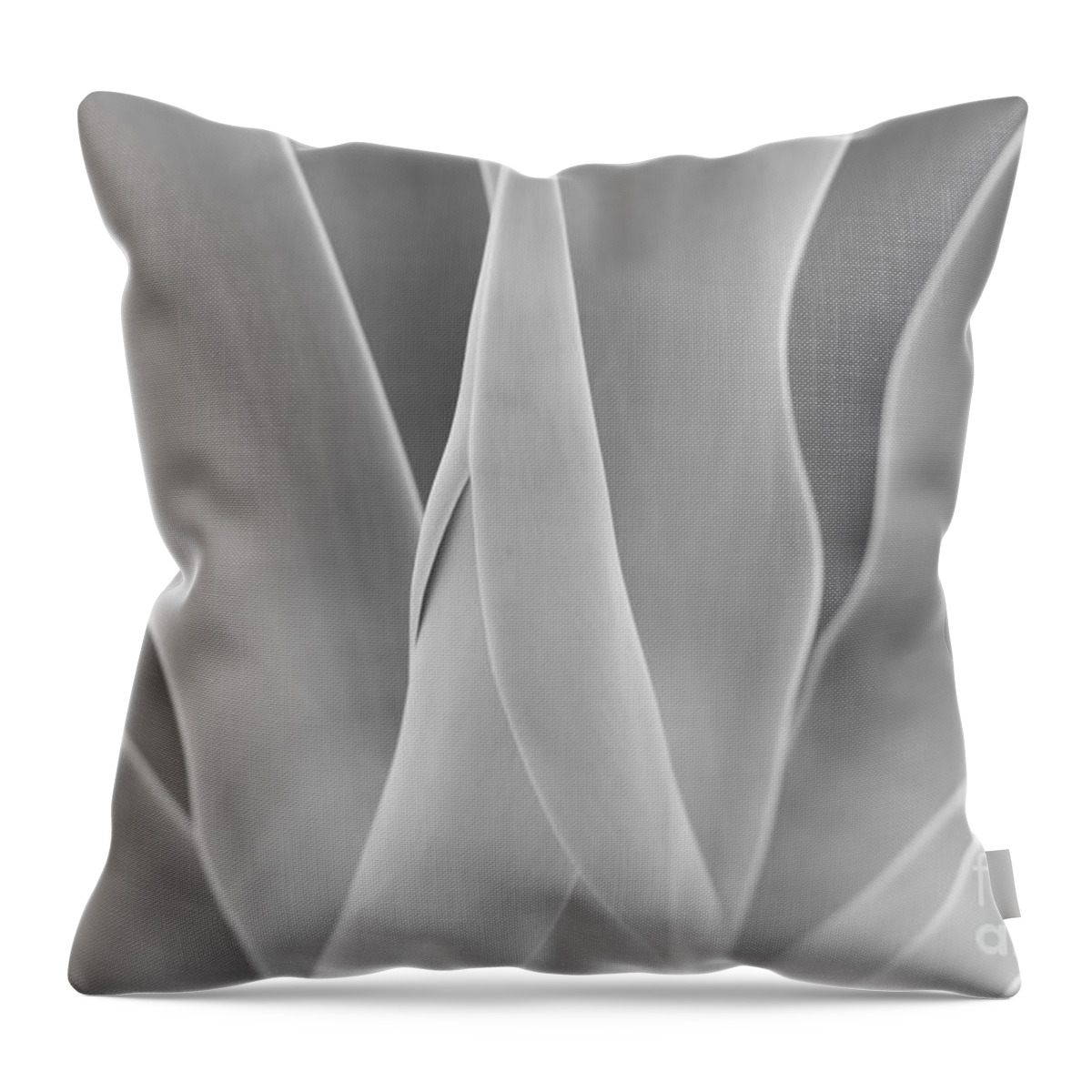 Zen Throw Pillow featuring the photograph Agave Waves by John F Tsumas