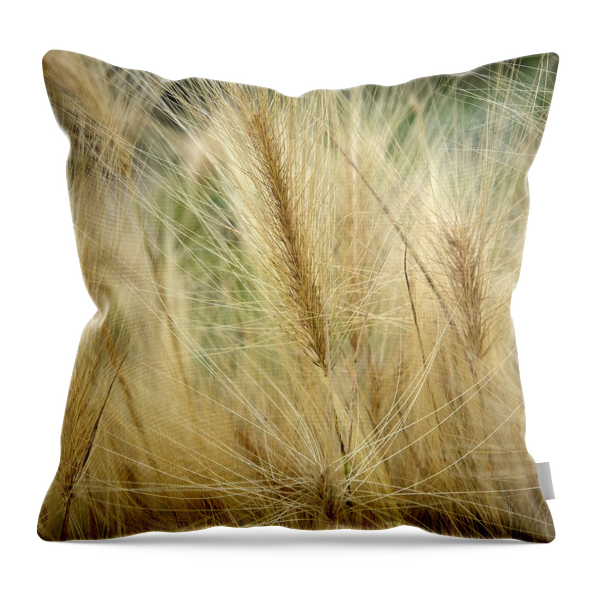 Lehtokukka Throw Pillow featuring the photograph Foxtail barley by Jouko Lehto
