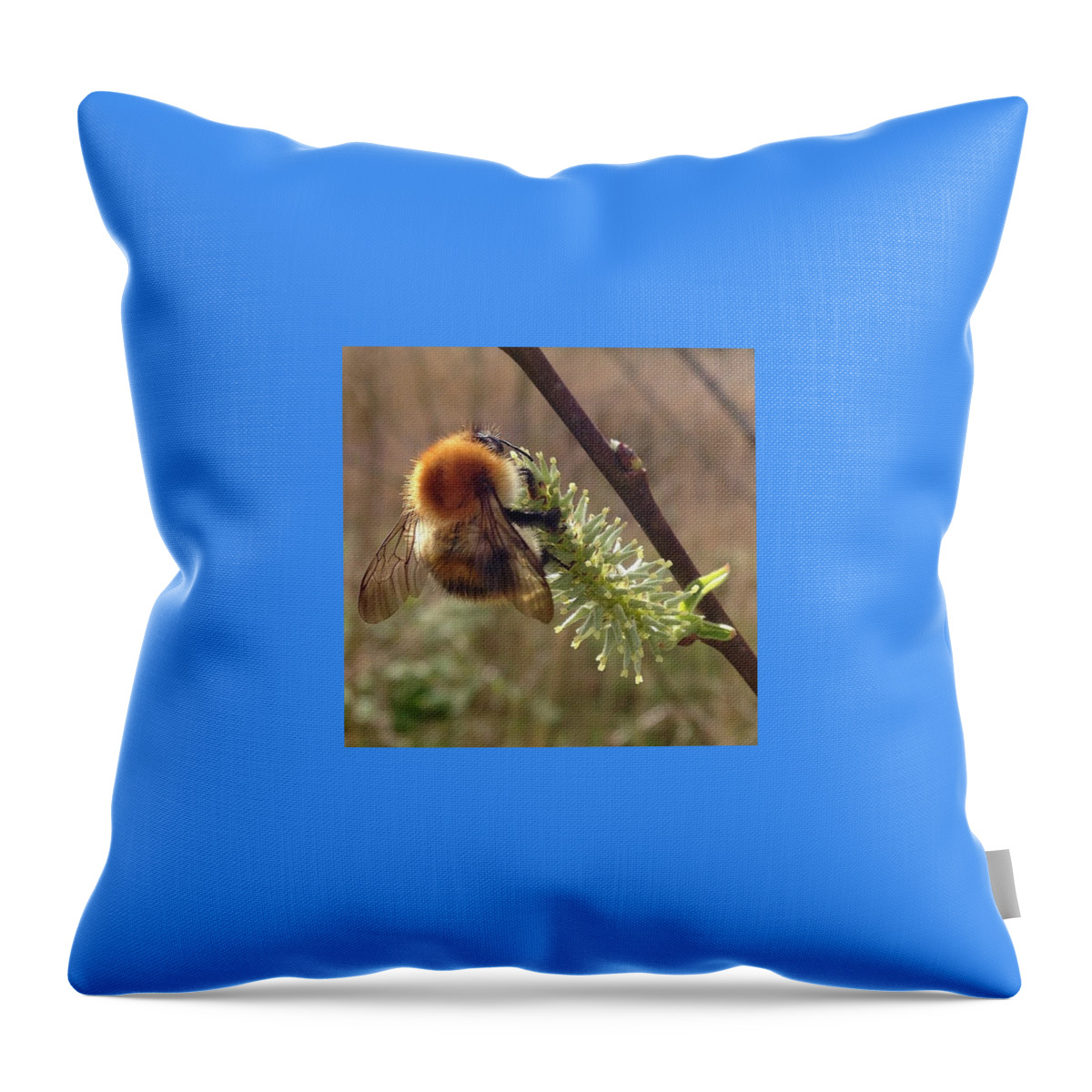 Reflection Throw Pillow featuring the photograph Reflection by Grace Smith