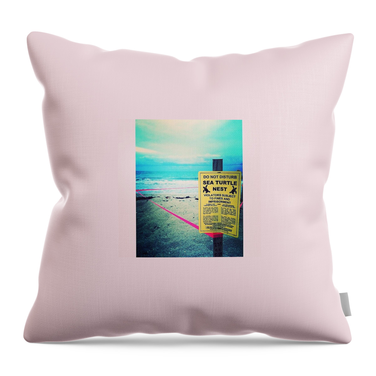  Throw Pillow featuring the photograph 🐢🐢🐢 by Kelsey Slicker