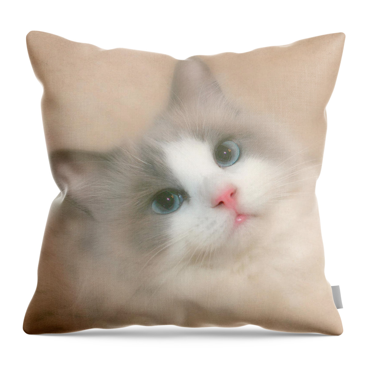 Cat Throw Pillow featuring the photograph Misty Blue by David and Carol Kelly