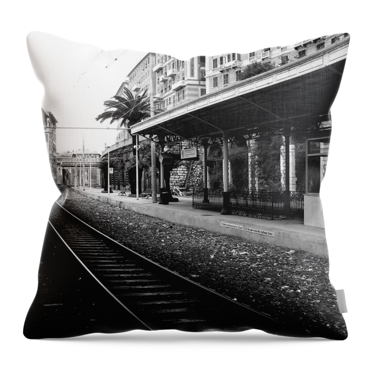 Art Throw Pillow featuring the photograph Old world Charm by Ivy Ho