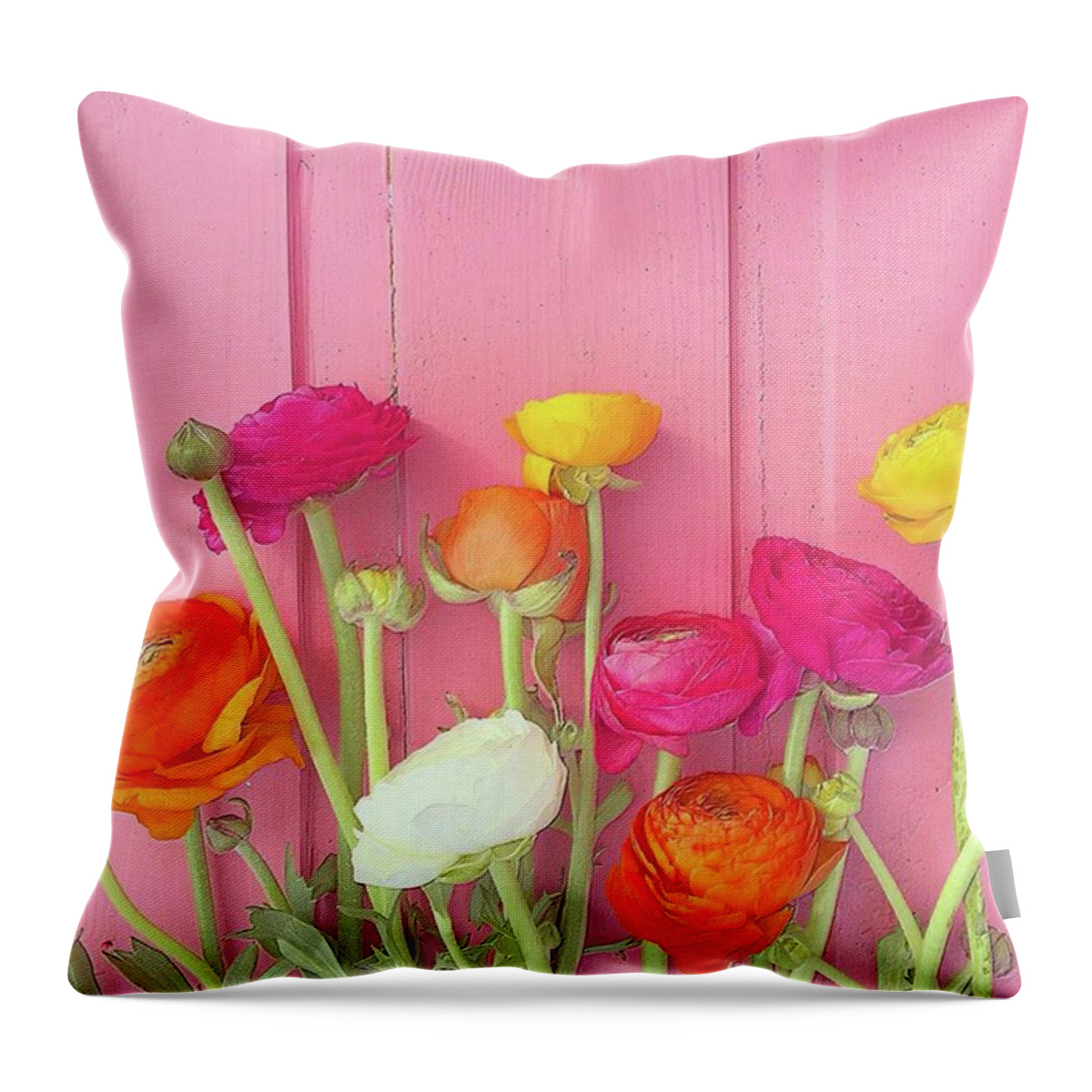 Ranunclus Throw Pillow featuring the photograph Ranunculus by Anne Hilde Lystad