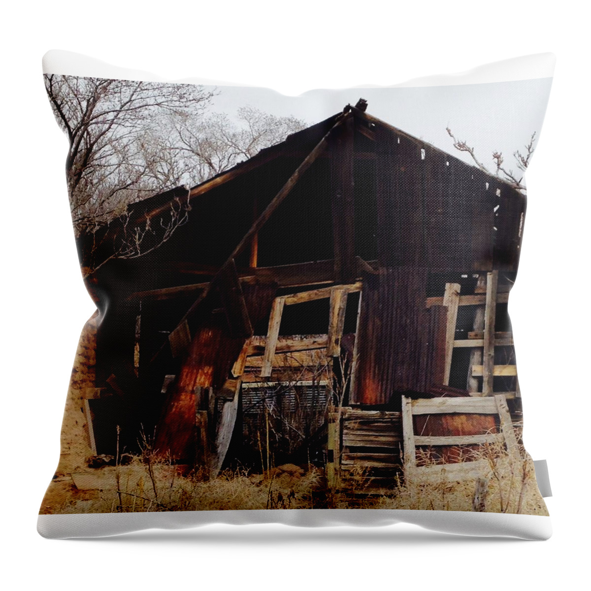 Shed Throw Pillow featuring the photograph Barn by Erika Jean Chamberlin