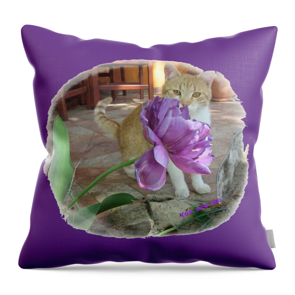 Cat Throw Pillow featuring the photograph You see me by Vesna Martinjak