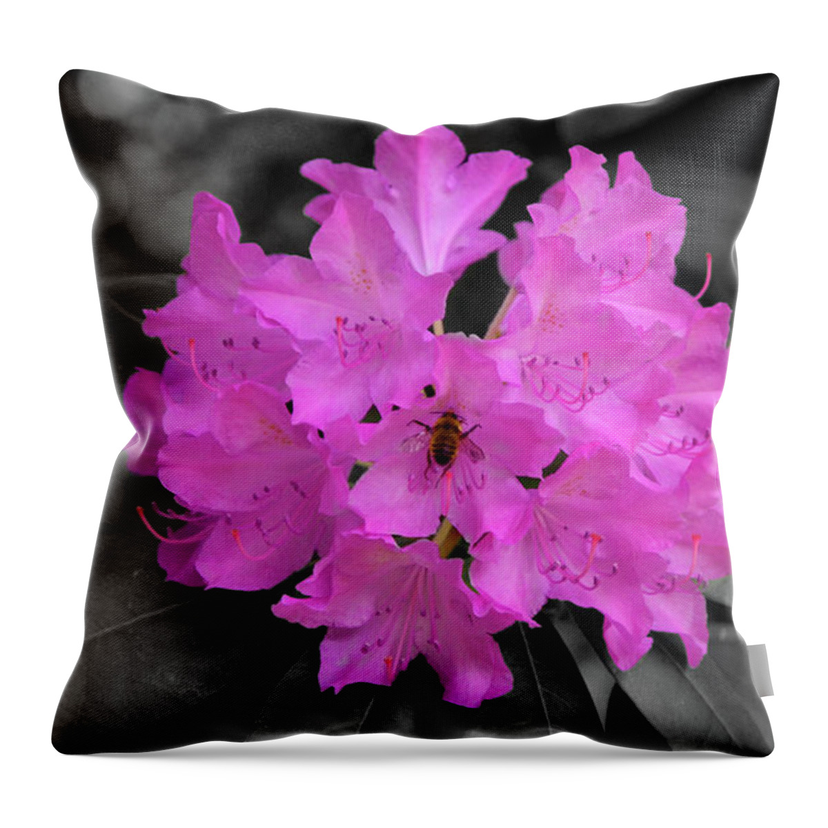 Splash Of Color Throw Pillow featuring the photograph 0022-soc by Splash of Color