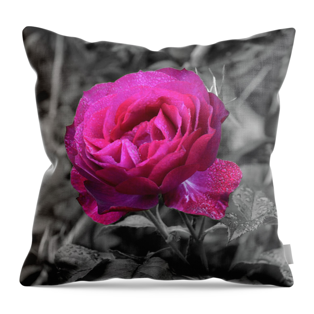 Splash Of Color Throw Pillow featuring the photograph 0046-soc by Splash of Color