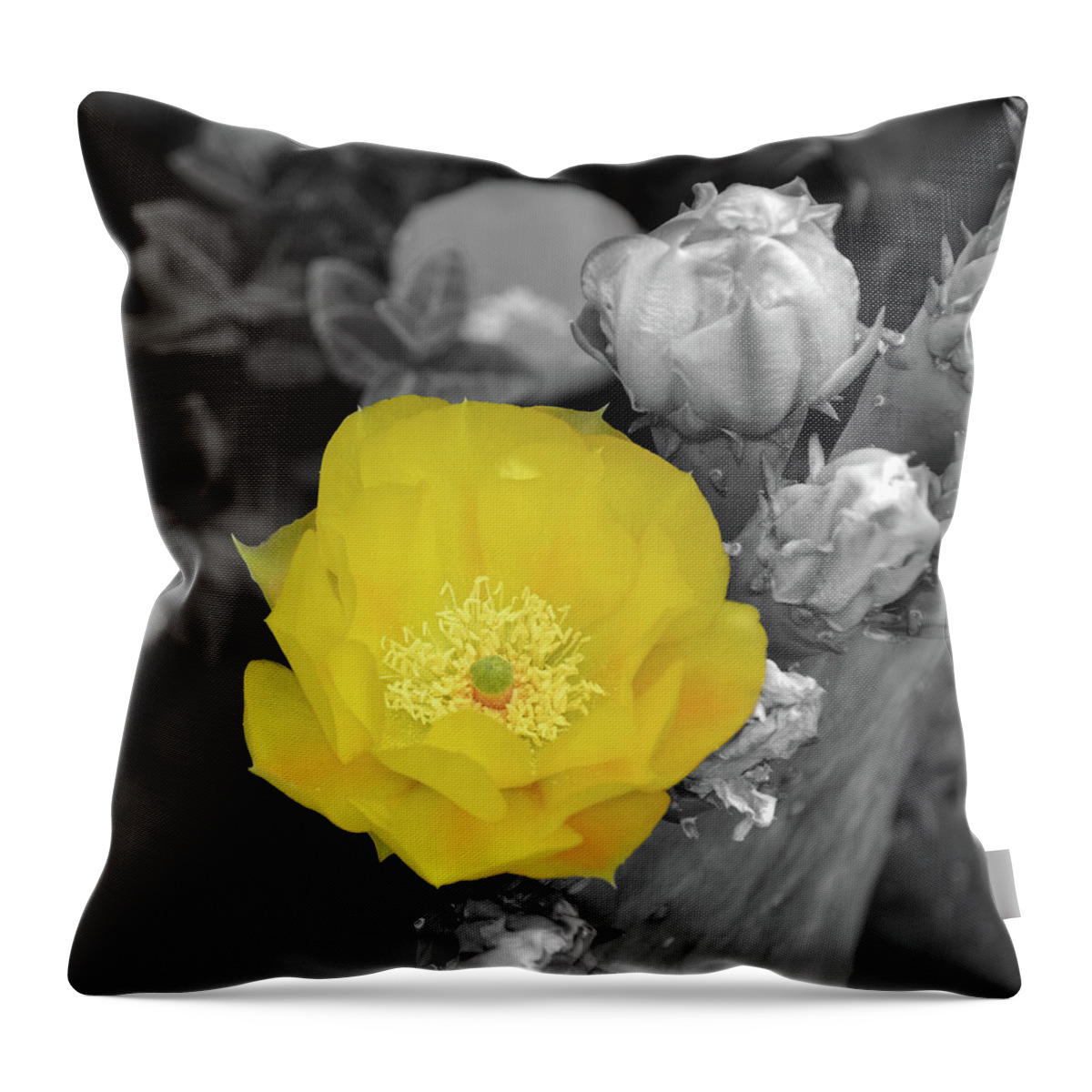 Splash Of Color Throw Pillow featuring the photograph 0264-soc by Splash of Color