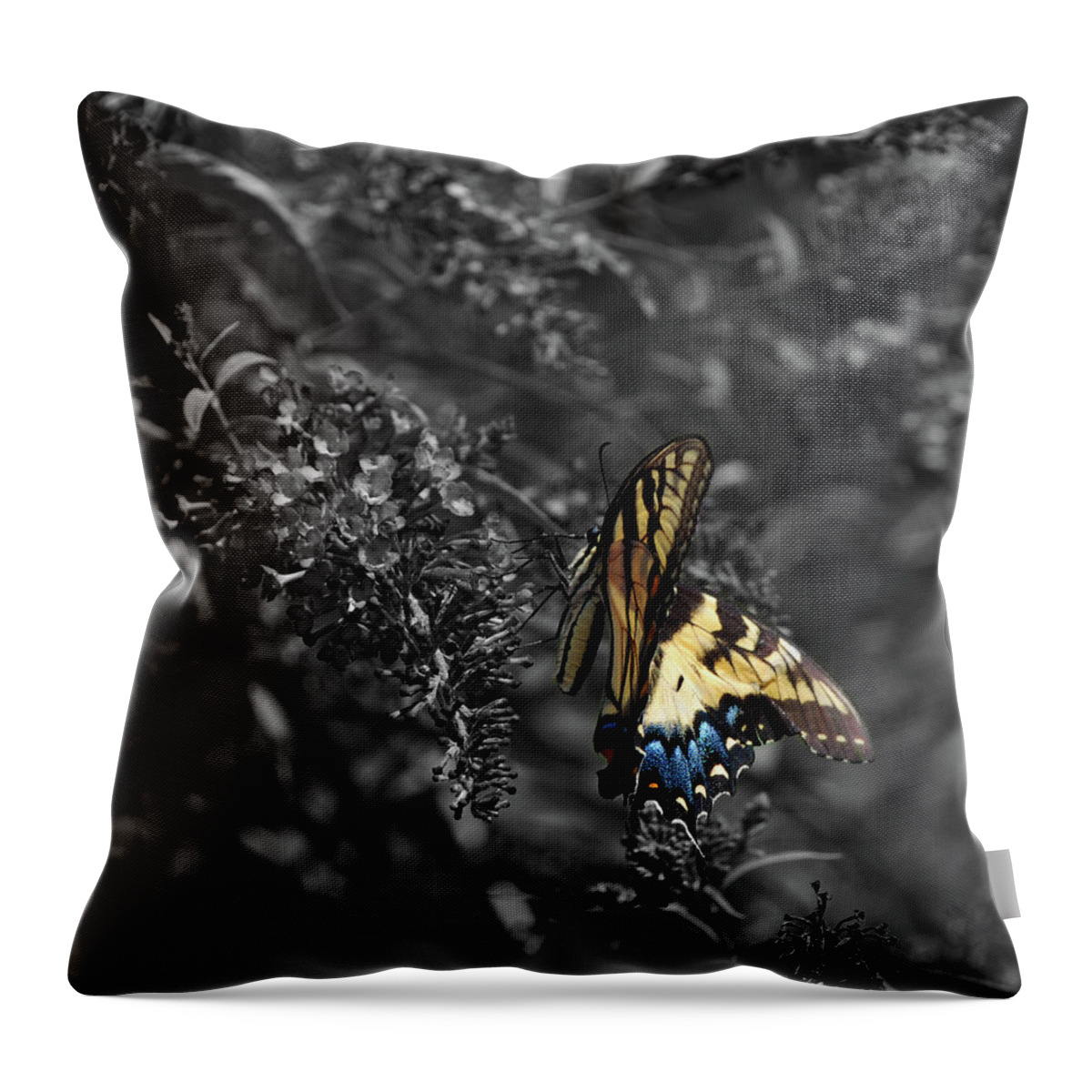 Splash Of Color Throw Pillow featuring the photograph 0396-soc by Splash of Color