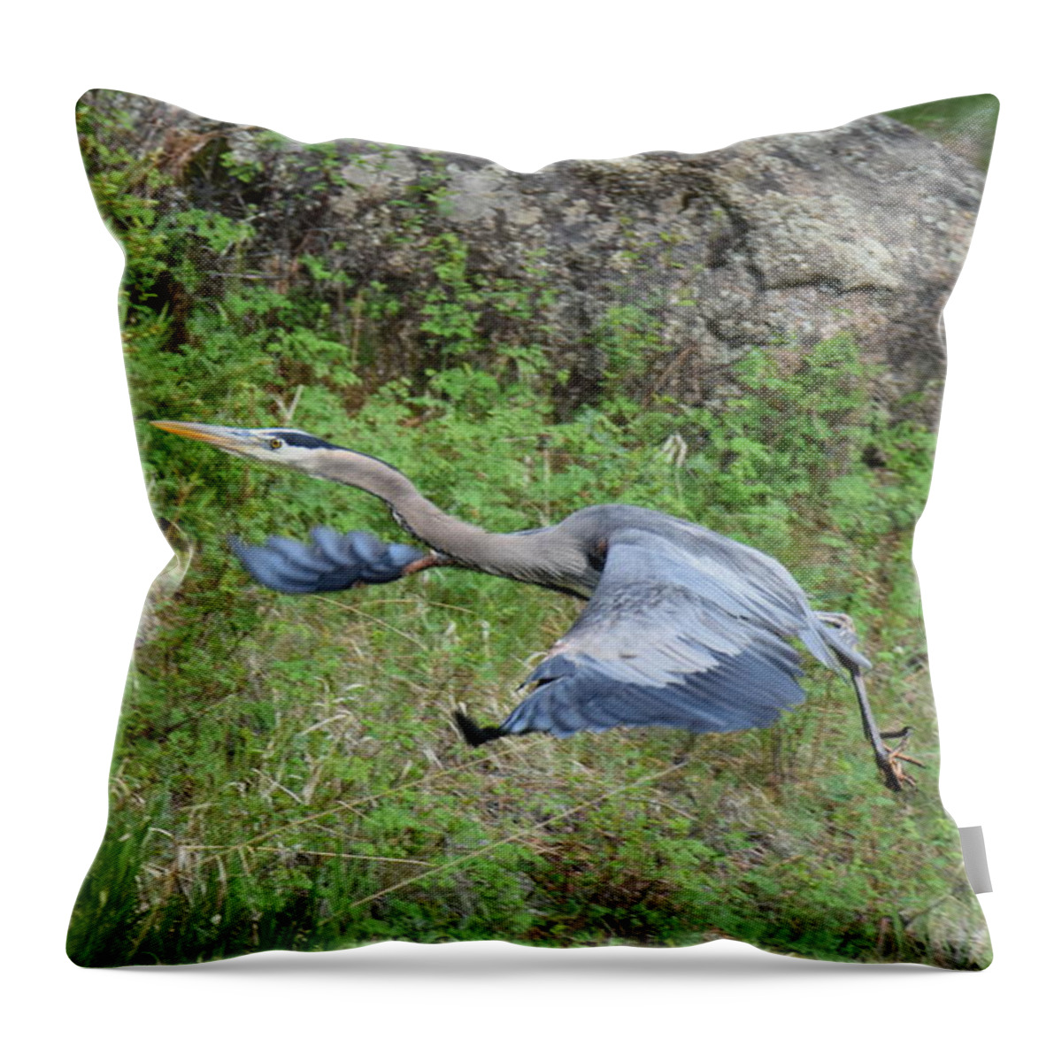 Great Blue Heron Throw Pillow featuring the photograph Great Blue Heron at 11 Mile Canyon CO by Margarethe Binkley