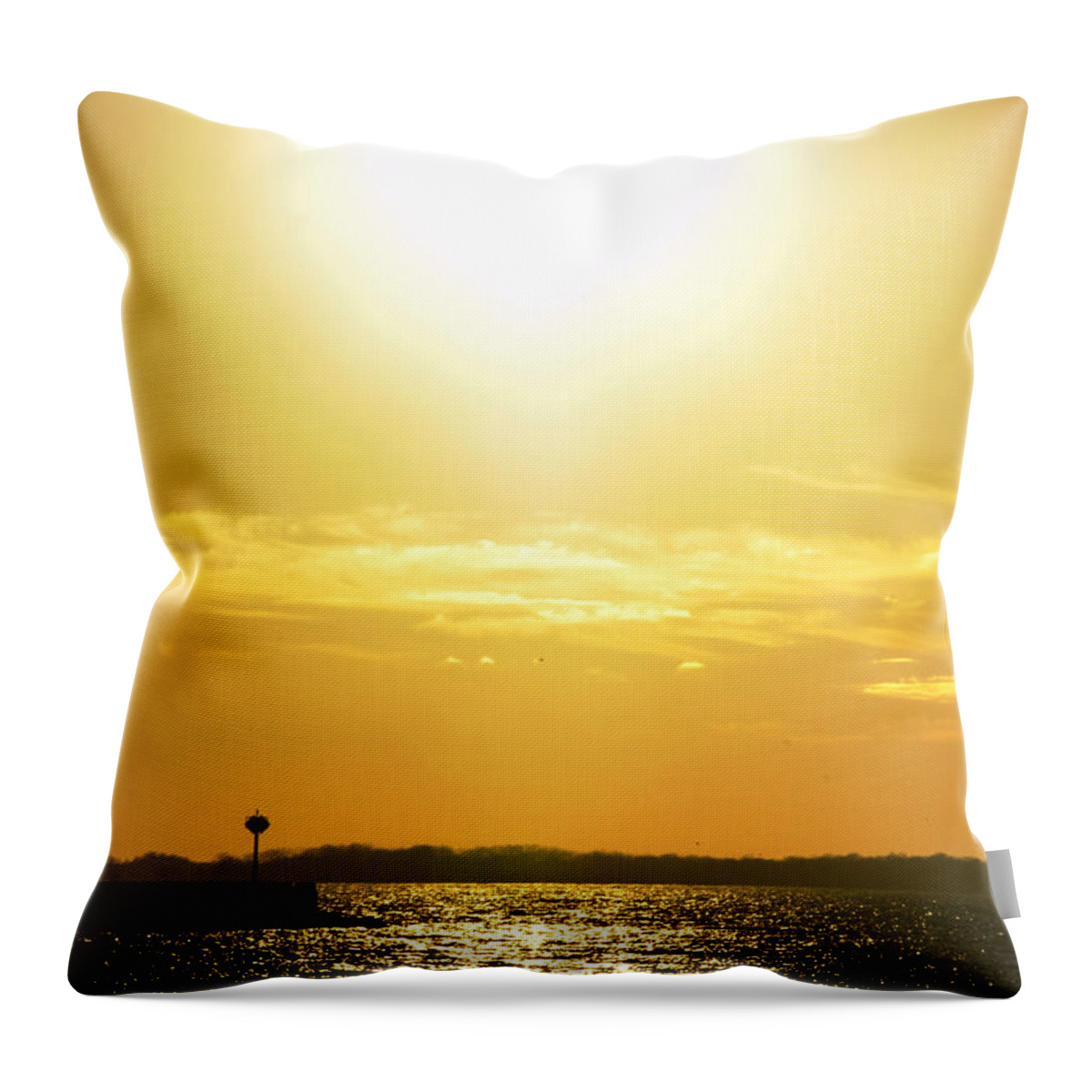 Buffalo Throw Pillow featuring the photograph 07 Sunset 16MAR16 by Michael Frank Jr