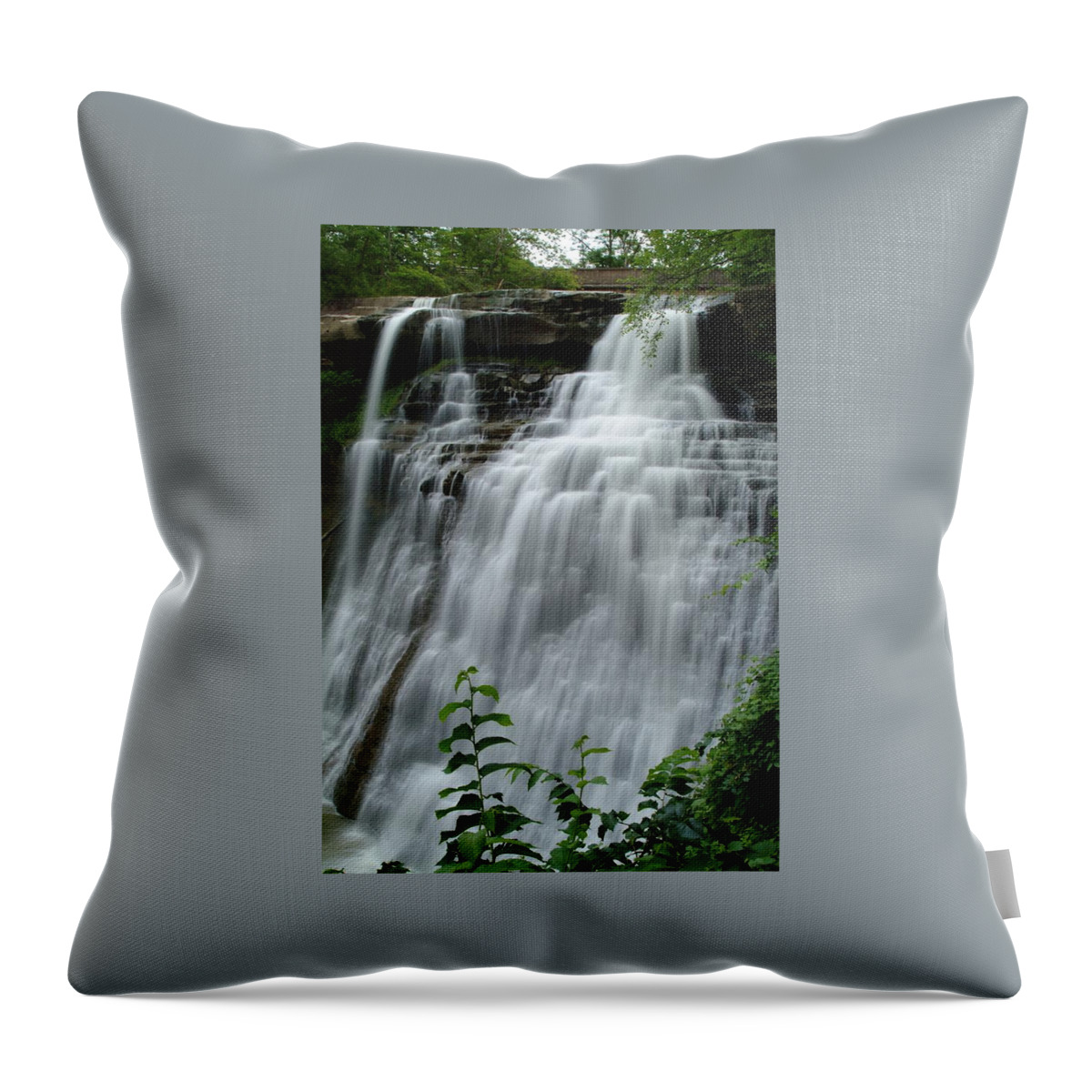 Waterfall Throw Pillow featuring the photograph 071809-314 by Mike Davis