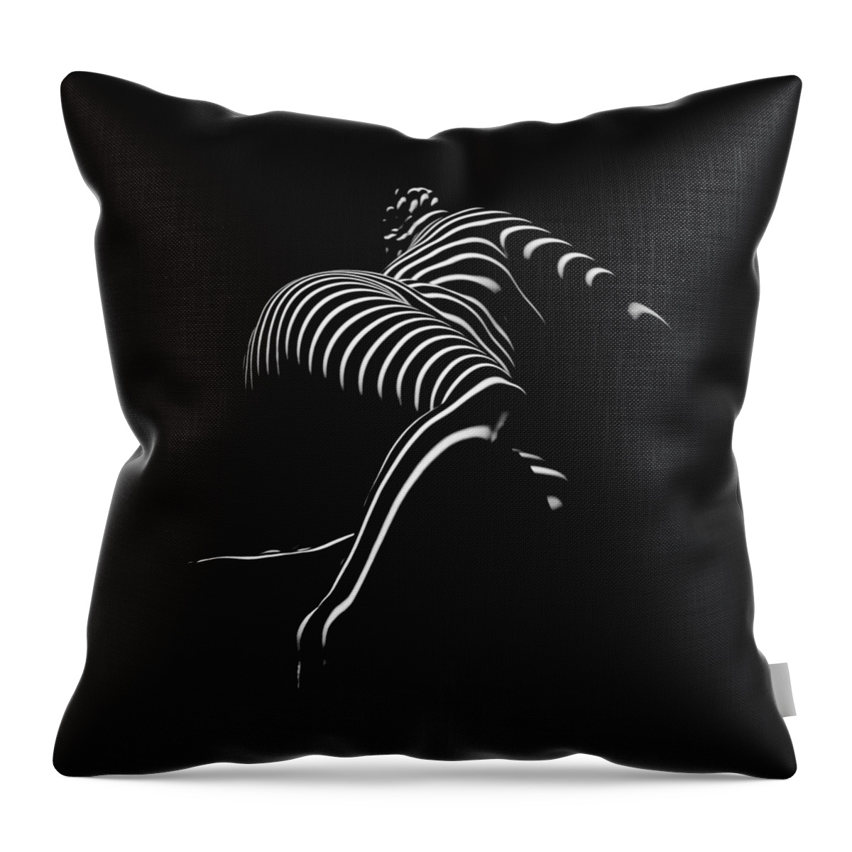 0773-ar Throw Pillow featuring the photograph 0773-AR Striped Zebra Woman Side View Abstract Black and White Photograph by Chris Maher by Chris Maher