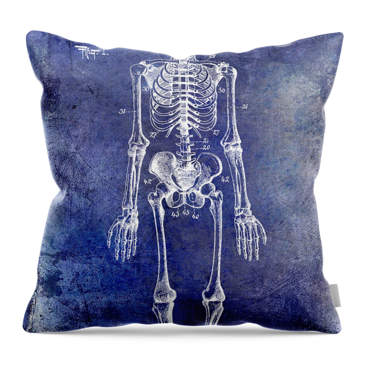 Skeleton Throw Pillow featuring the photograph 1911 Anatomical Skeleton Patent Blue by Jon Neidert