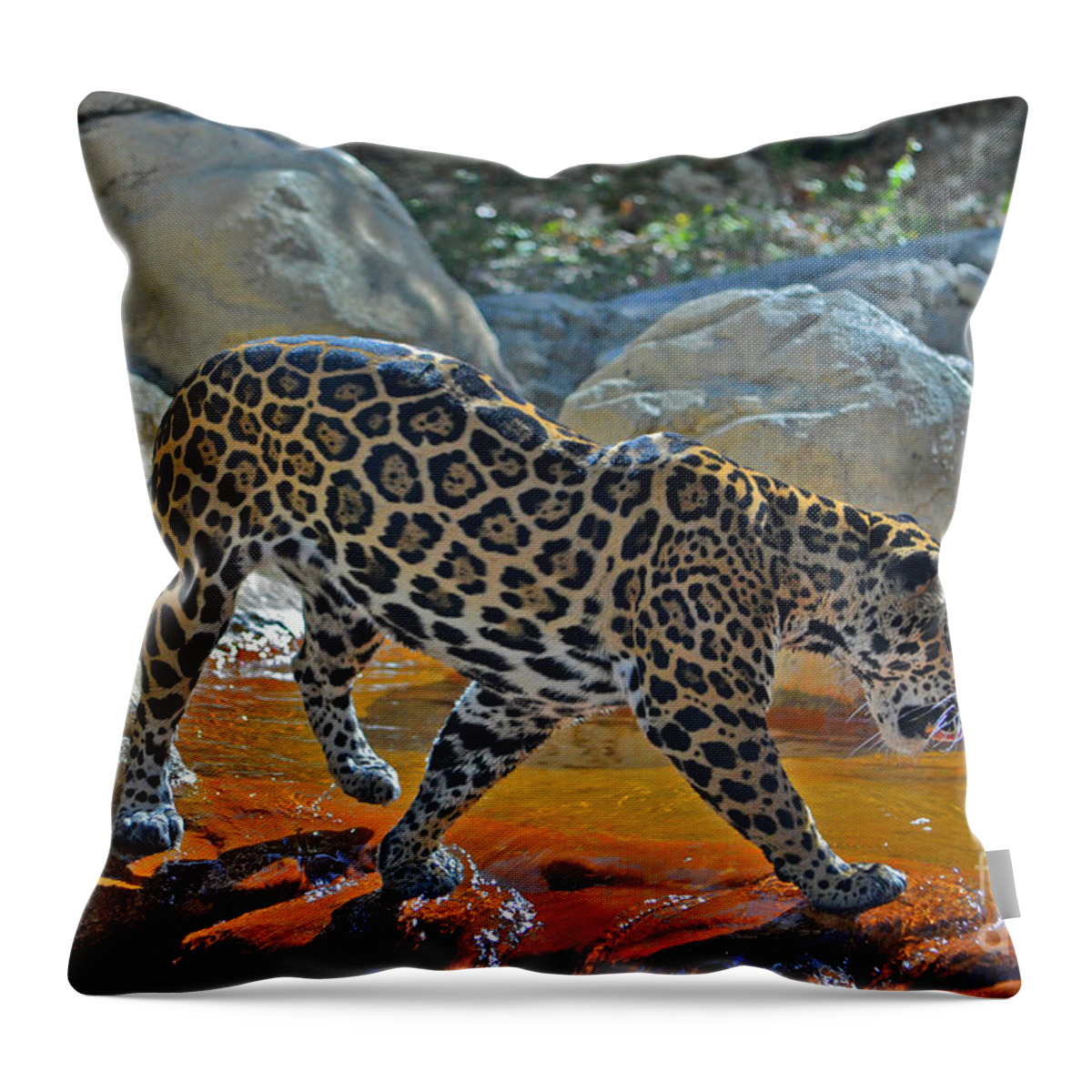  Jaguar Throw Pillow featuring the photograph 44- Jaguar #1 by Joseph Keane