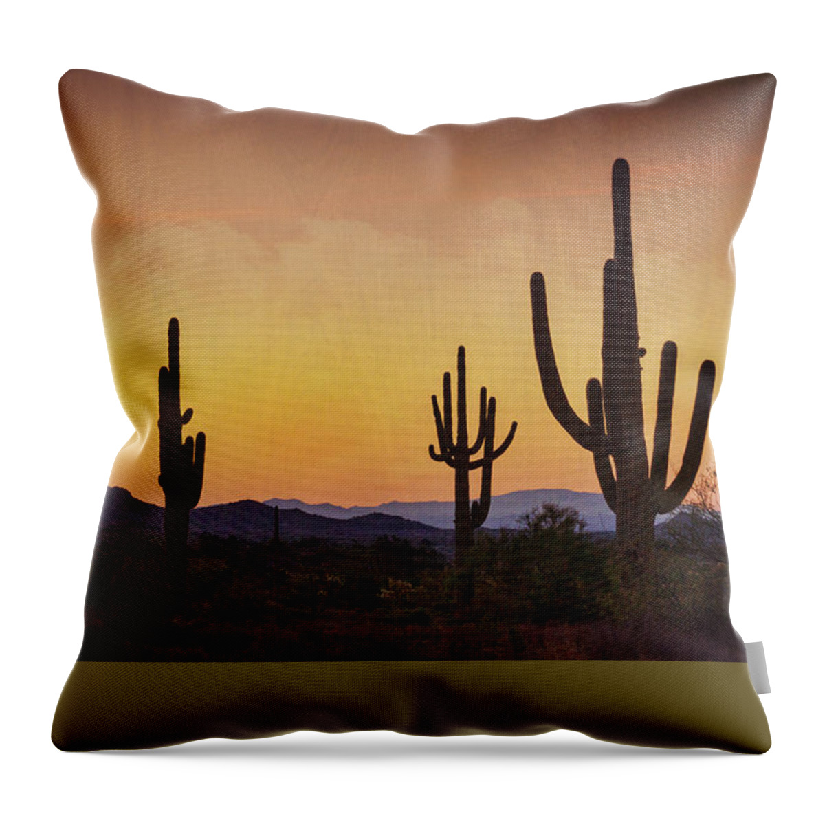 Arizona Throw Pillow featuring the photograph A Beautiful Desert Morning #2 by Saija Lehtonen