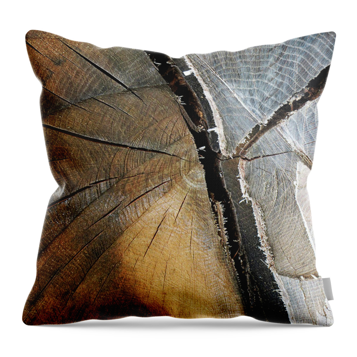 12.28.16_a W Throw Pillow featuring the photograph A Dead Tree #1 by Dorin Adrian Berbier