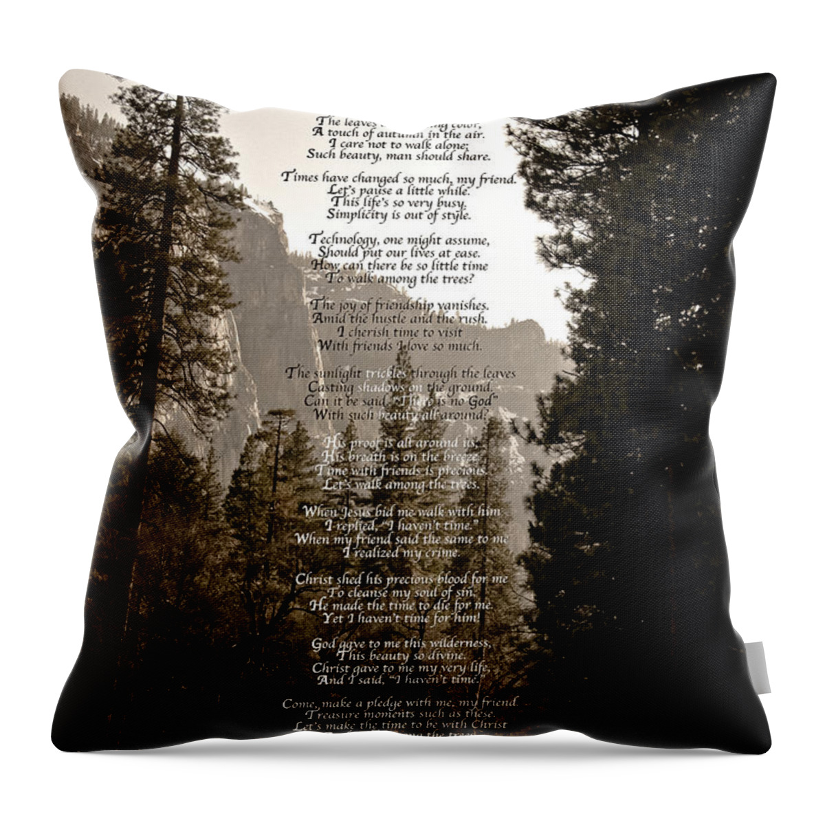 Photography Throw Pillow featuring the photograph A Walk Among The Trees #1 by David Martin