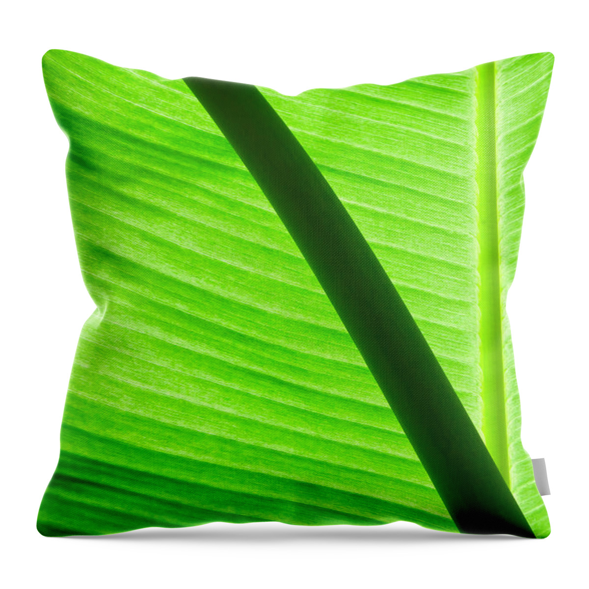 Banana Throw Pillow featuring the photograph Abstract banana Leaf #1 by Yurix Sardinelly