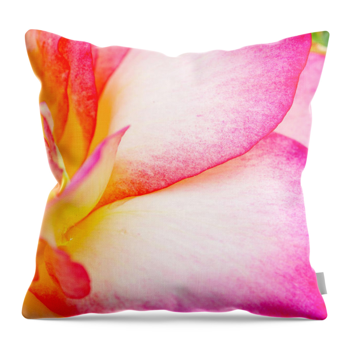 Valentine Throw Pillow featuring the photograph Abstract Rose Petals #1 by Teri Virbickis