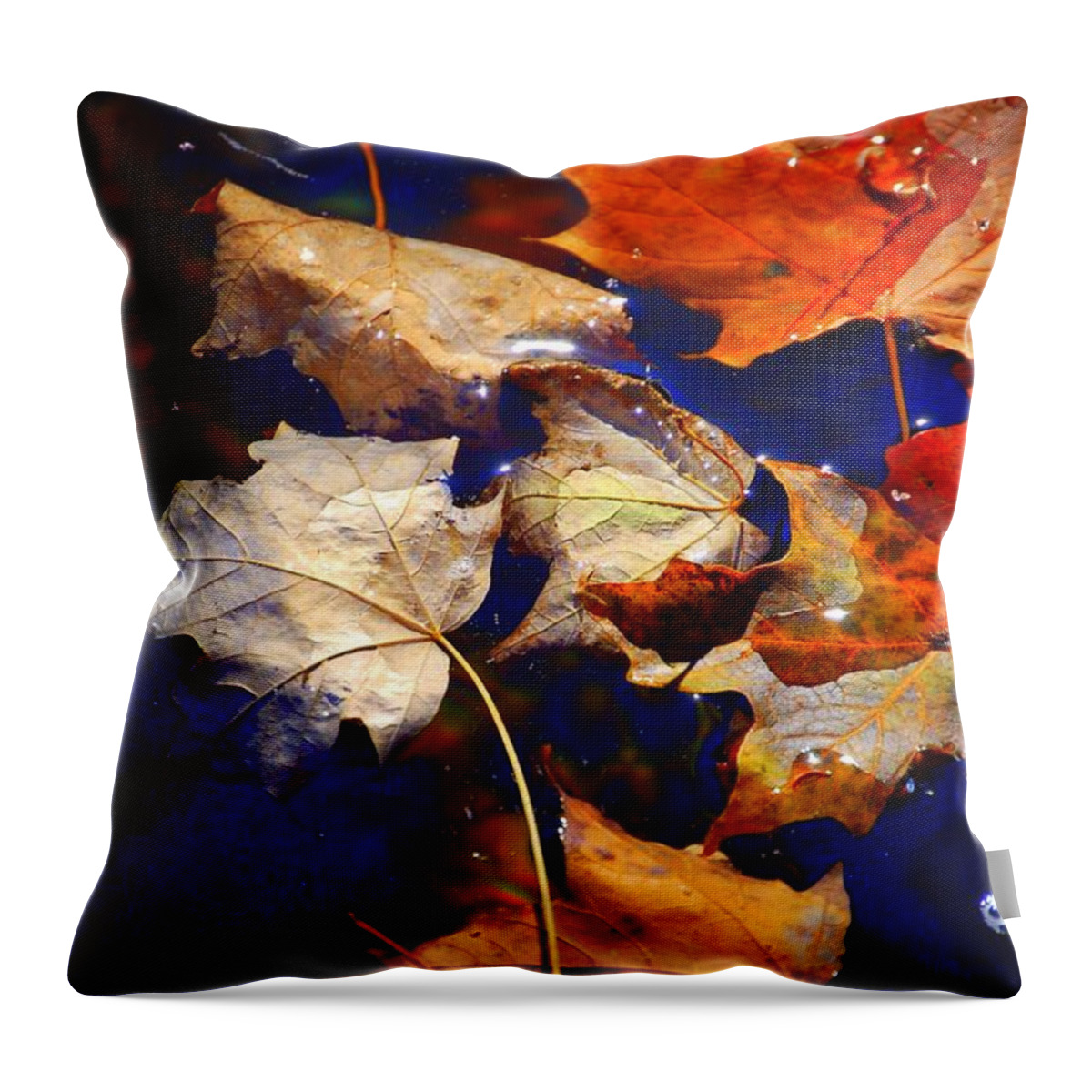 Berry Throw Pillow featuring the photograph Adirondack Autumn #1 by Diane E Berry