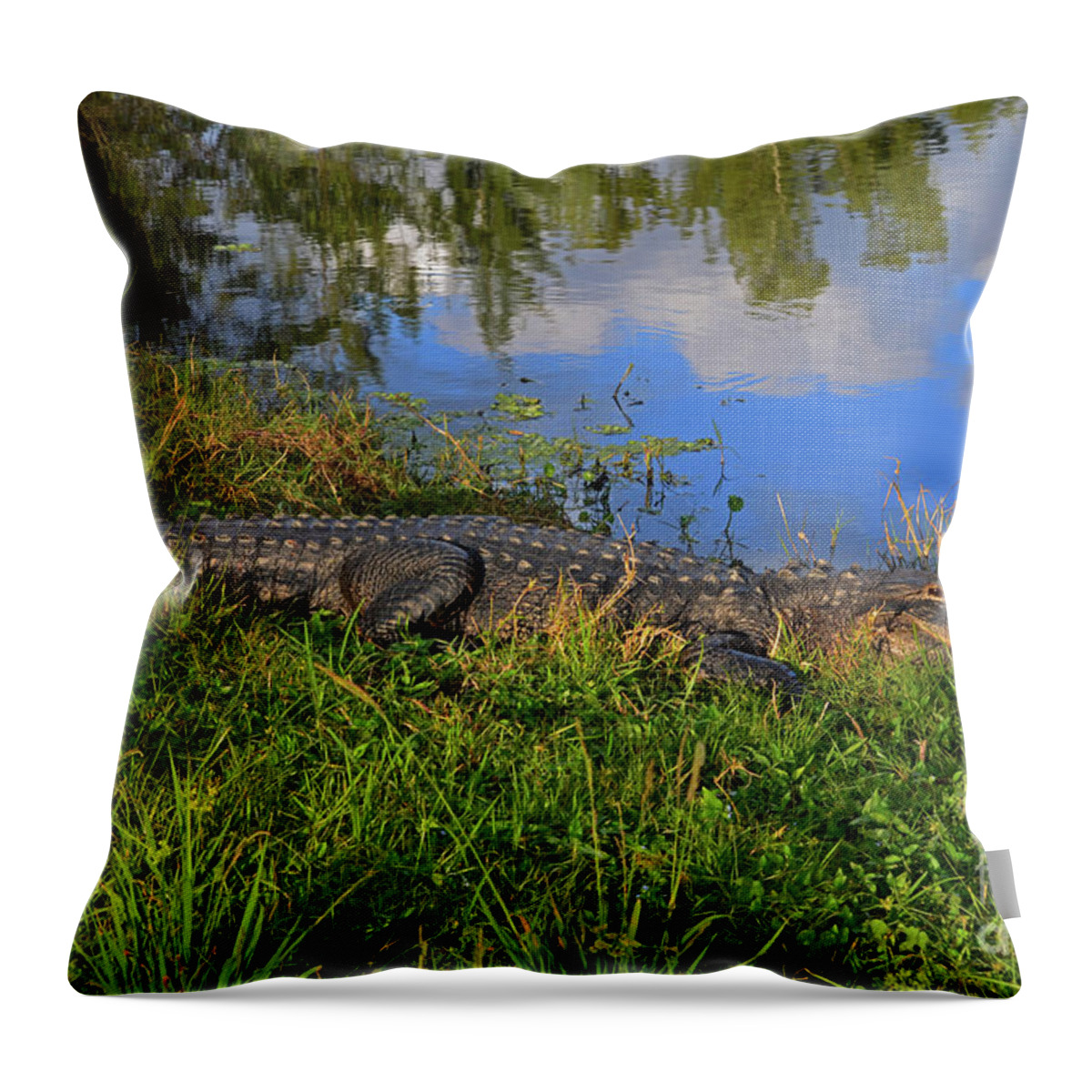  Alligators Throw Pillow featuring the photograph 1- Alligator by Joseph Keane