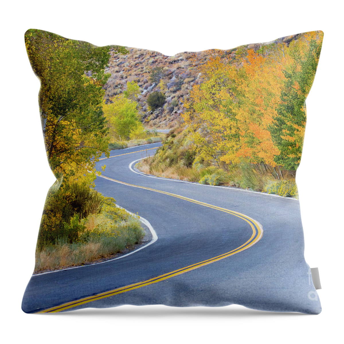 Eastern Sierra Throw Pillow featuring the photograph Along The June Lake Loop #1 by Mimi Ditchie