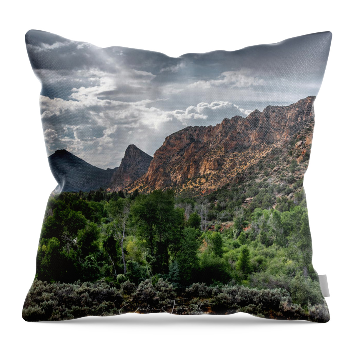 Wyoming Throw Pillow featuring the photograph Along the Way #1 by Erika Fawcett