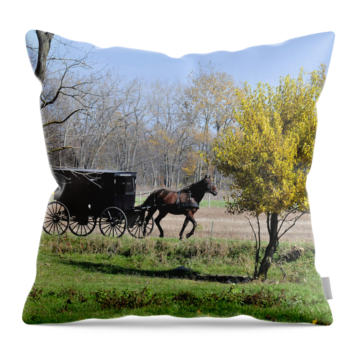 Amish Throw Pillow featuring the photograph Amish Buggy Late Fall #1 by David Arment