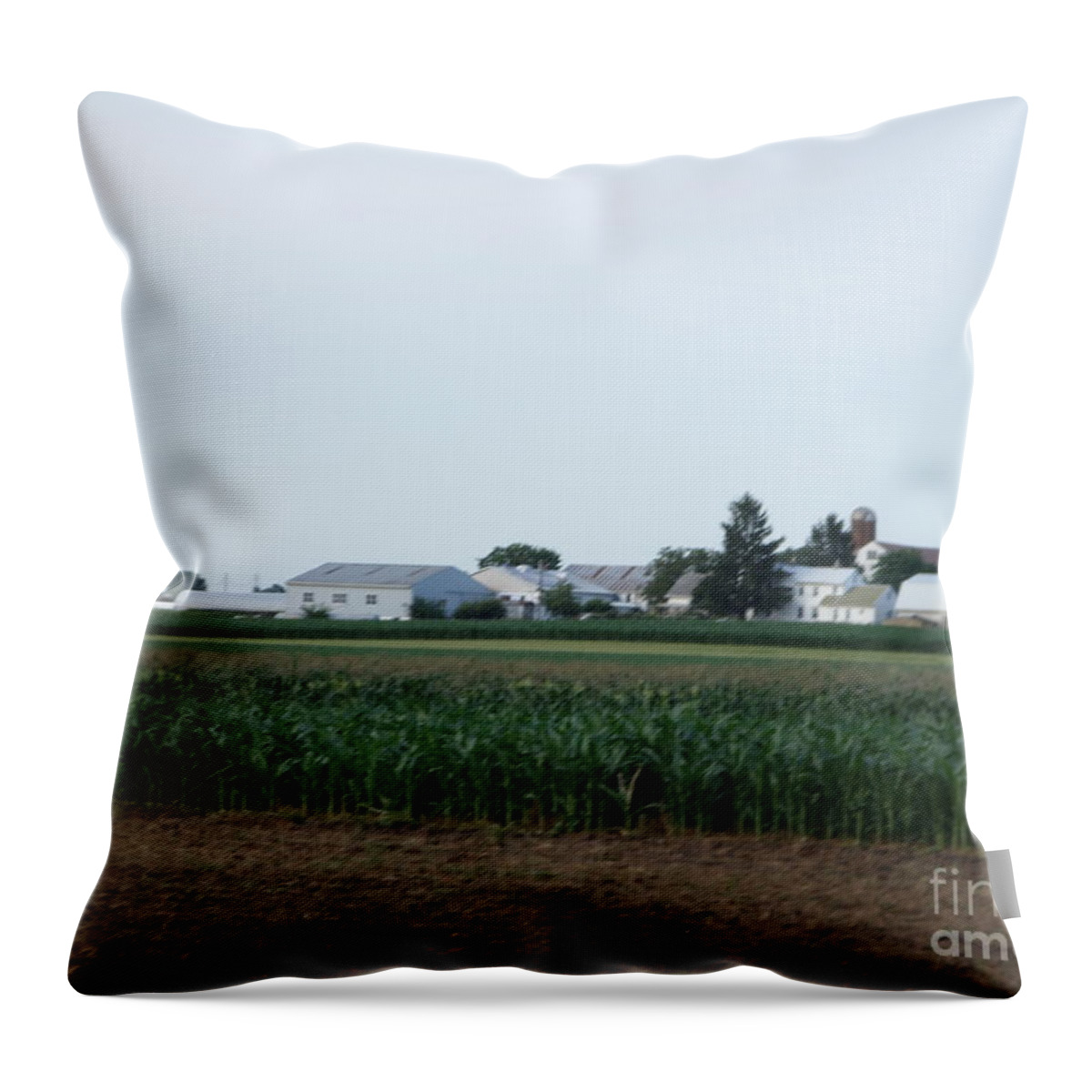 Amish Throw Pillow featuring the photograph Amish Homestead 9 #1 by Christine Clark