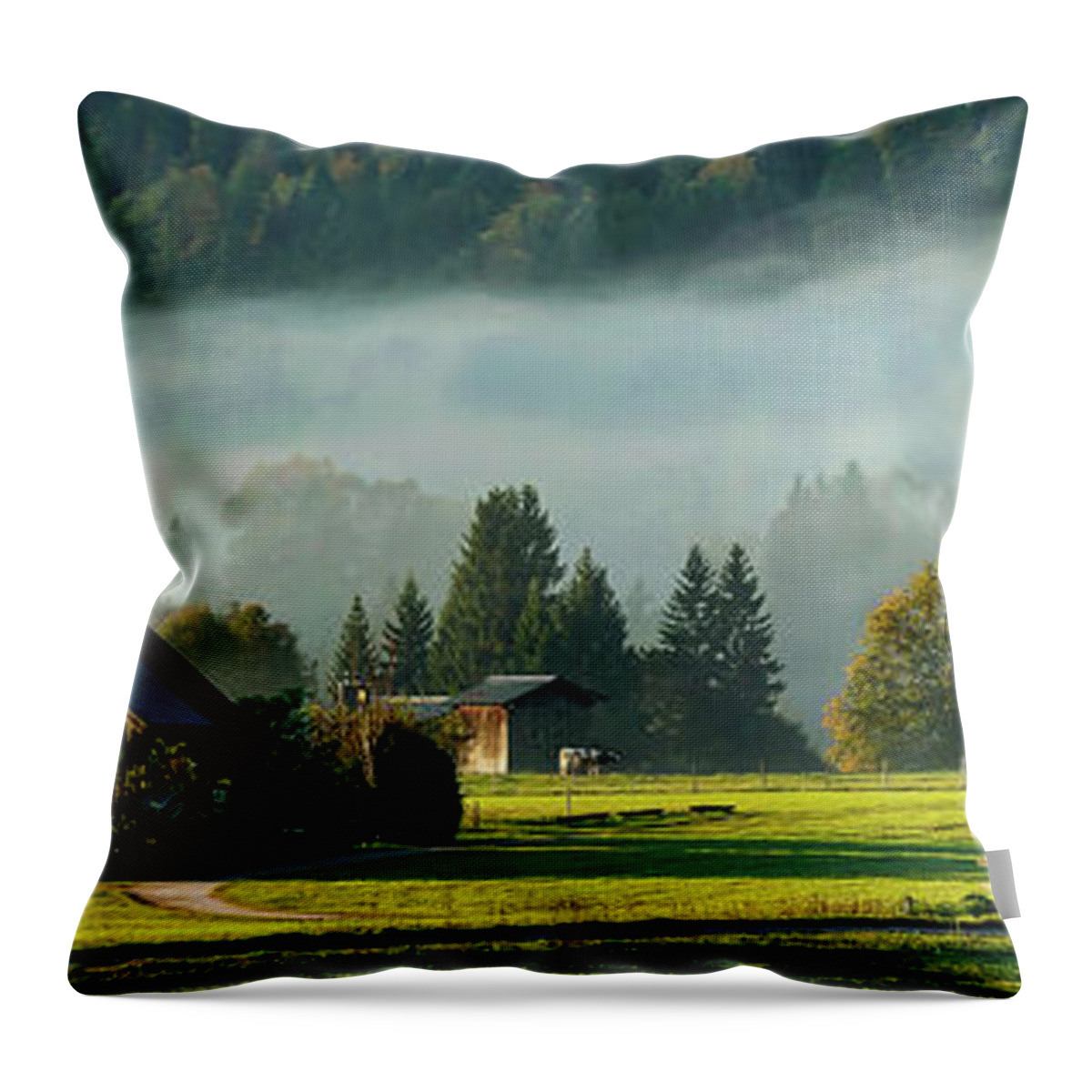 Germany Throw Pillow featuring the photograph An Autumn Morning In Germany #1 by Mountain Dreams