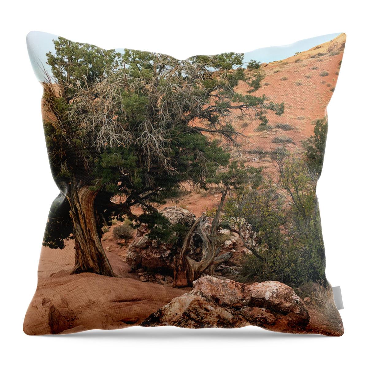 Arches Throw Pillow featuring the photograph Arches National Park No. 19 by Sandy Taylor